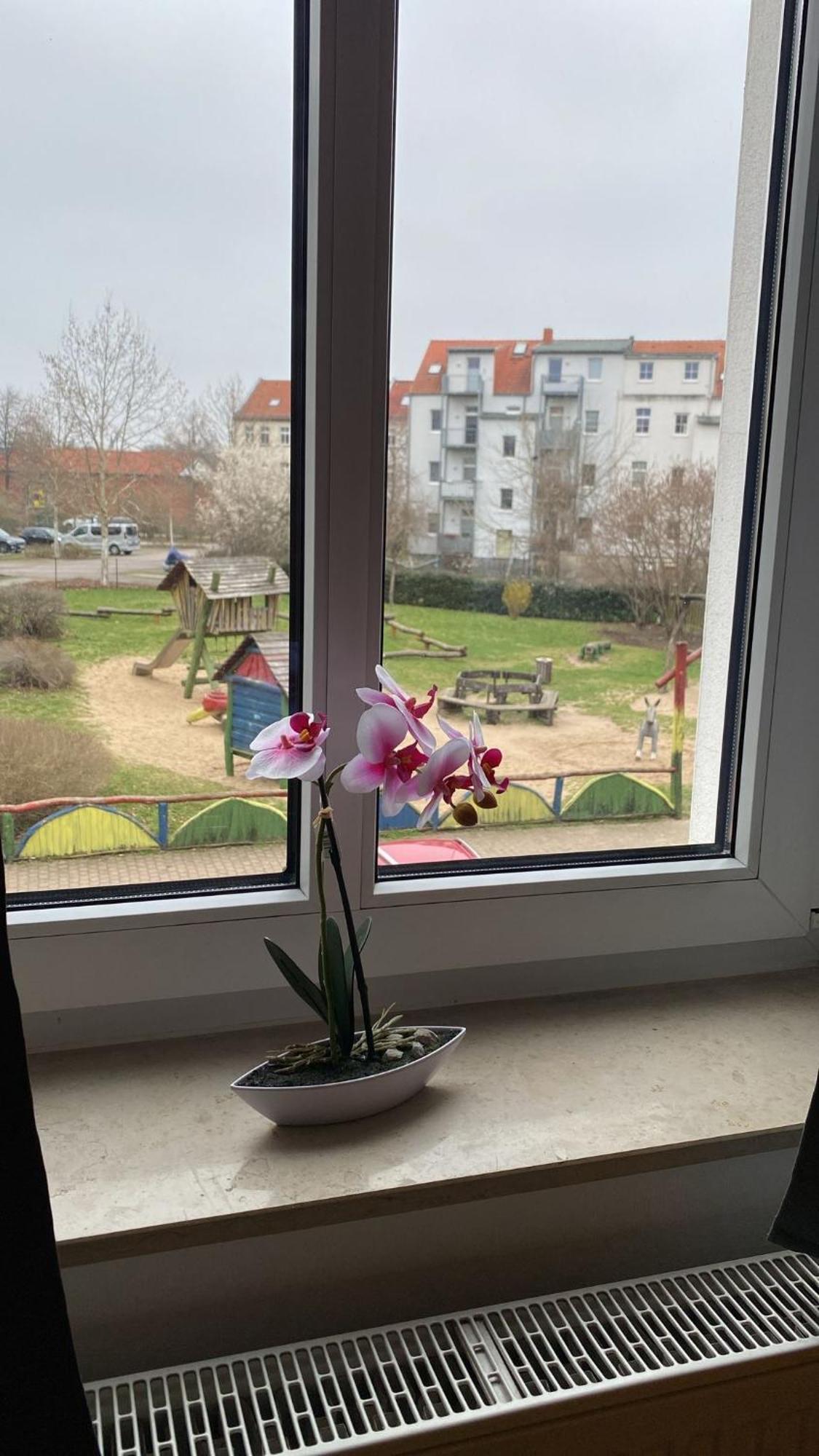 Fewo "Franzi" 5 Personen, Zentrale Lage, Parkplatz Dessau-Rosslau Luaran gambar